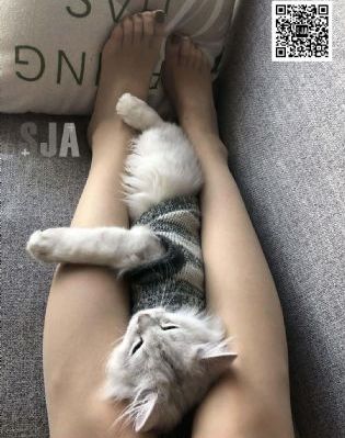 二战电影《歼灭任务》_BD最新电影在线观看