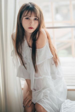 树先生电影完整版免费观看_BD影视在线观看