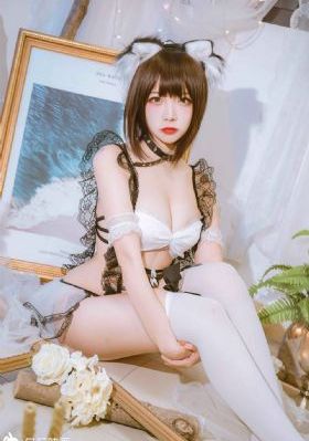 gav不用播放器_超清在线观看视频