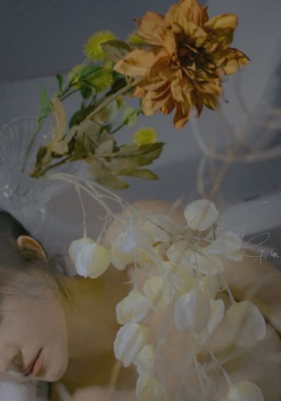 性虎时光_西瓜视频在线观看