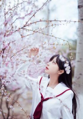 欧美禁忌_HDHD高清在线观看